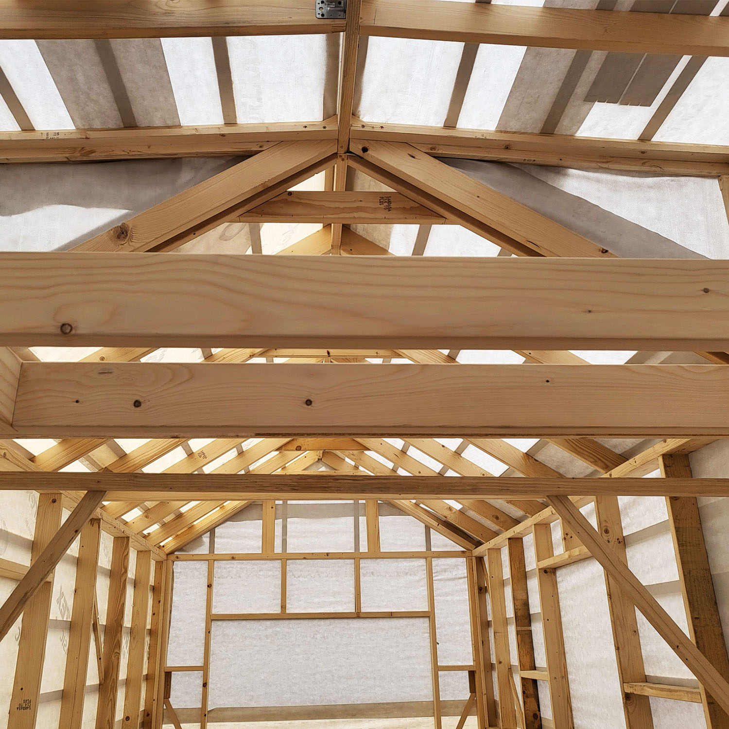 Tiny House, Casa in container, Casa modulare, Mini casa - Modello Sunshine